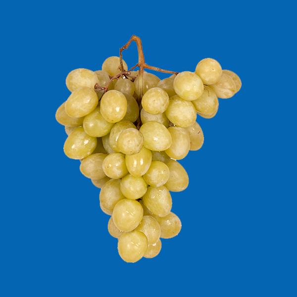  White grapes
